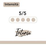 Musetti INTENSO kapszula/ Nespresso kompatibilis/ 10db/ díszdoboz